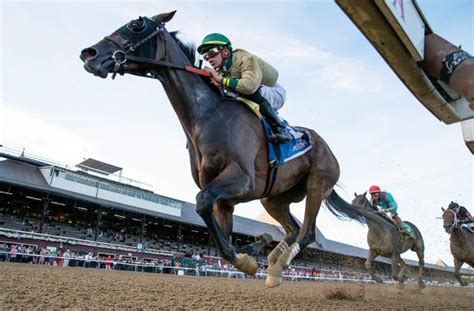 drf horse racing entries.